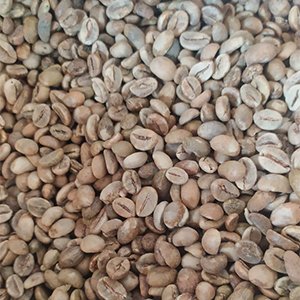 Premium Arabica and Robusta coffee beans from PT. RHF Mitra Sejahtera Indonesia